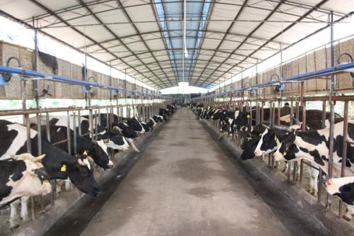 四川省农业农村厅关于下达2021年全省饲料质量安全监督抽查计划的通知