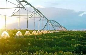 2023年第一次国家农产品质量安全抽检 总体合格率为97.5%