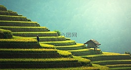 在农村电商发展中读懂中国乡村